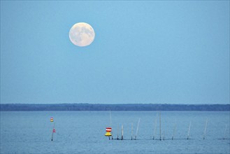 Moon over calm water with buoys, nocturnal atmosphere, Müritz, Müritz National Park,