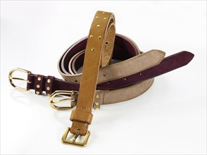 Leather belt in front of a white background, studio shot