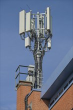 Radio mast, mobile radio