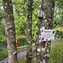 Fairy house, house of a fairy, fairy garden with suspension bridge and ladder in a tree, Irish