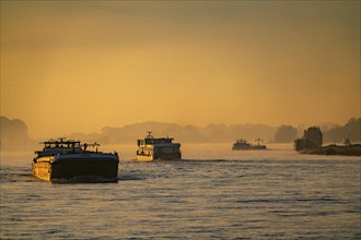 Cargo ships on the Rhine near Emmerich, early morning, sunrise, fog, mist on the river, North