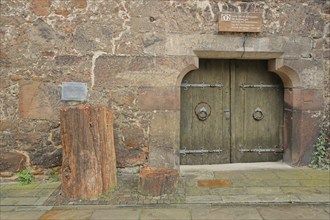 Wooden door with fossilised tree trunk from Arizona, Mineralogical Museum, University,