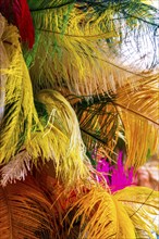 Colorful feathers and plumes to be used in the making of carnival costumes in Brazil