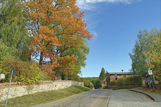 Village street with colourful autumn trees and blue sky, quiet surroundings, Müritz National Park,