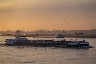 Cargo ships on the Rhine near Emmerich, early morning, sunrise, fog, mist on the river, North