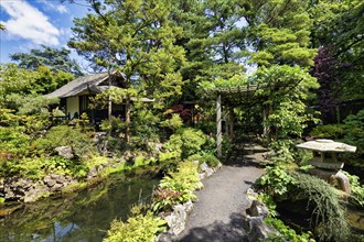 Japanese Garden, Irish National Stud and Gardens, The Irish National Stud & Gardens, Tully,