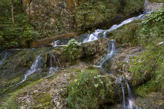 Waterfall, Laintal, Mittenwald, Werdenfelser Land, Alps, Upper Bavaria, Bavaria, Germany, Europe