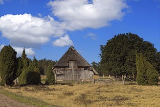 Old sheepfold in the Lüneburg Heath, Germany, Lower Saxony, Undeloh, Lower Saxony, Federal Republic