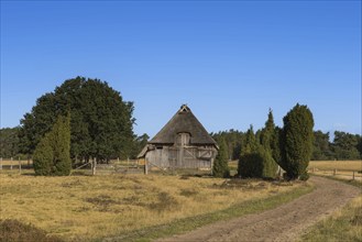 Old sheepfold in the Lüneburg Heath, Germany, Lower Saxony, Undeloh, Lower Saxony, Federal Republic