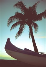 Retro Styled Photo Of Outrigger Canoe And Palm Tree In Hawaii