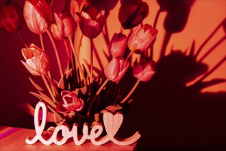 Wooden word LOVE on background of Pink colored tulip flower in neon light on red gradient