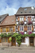 Street with historical houses in Ribeauville, Alsace, France, Europe