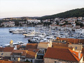 Evening atmosphere by the sea, Korcula harbour, Korcula island, Dalmatia, Croatia, Europe