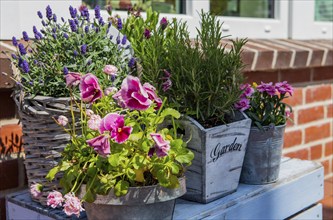 The photo shows a table decorated with flowers in the sun