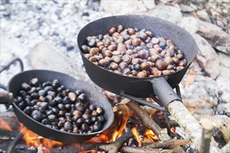 The tradition of autumn chestnuts roast cooked in a pan with holes