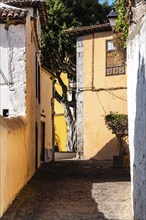 Icod de los Vinos, Spain, August 12, 2021: Scenic view of the old town of Icod de los Vinos,