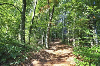 The rock castle near Emmendorf is a naturally formed natural stone arch. The rock formation was