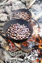 The tradition of autumn chestnuts roast cooked in a pan with holes