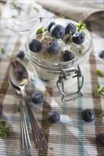 Nutritious and healthy breakfast of yogurt and blueberries