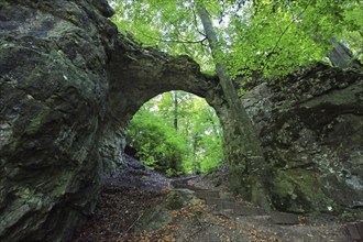 The rock castle near Emmendorf is a naturally formed natural stone arch. The rock formation was