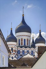 Alexander Nevsky Cathedral is an orthodox cathedral in the Tallinn Old Town, Estonia. Domes