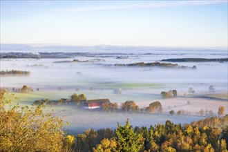 Misty morning light in the countryside at autumn