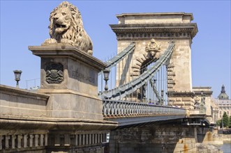 One of the four guardian lions of the Szechenyi Chain Bridge, Budapest, Hungary, Europe