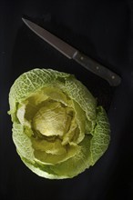 Presentation of a fresh cabbage ball on stone background