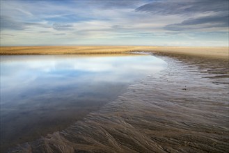 The Maasvlakte beach near the port of Rotterdam