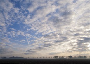 Nature along the A6 highway near the Dutch town Emmeloord