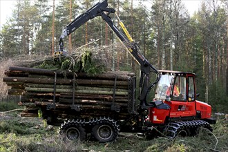 SALO, FINLAND, NOVEMBER 19, 2016: Unnamed operator stacks up wood on the bunk of Komatsu 845