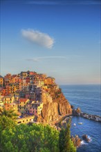 The Cinque Terre, Manarola, a World Heritage Site, Italy, Europe