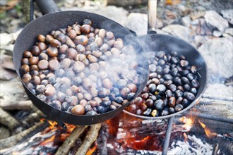 The tradition of autumn chestnuts roast cooked in a pan with holes