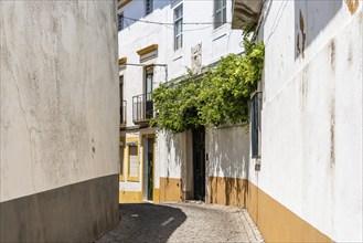 Scenic view of the old town of Elvas in Alentejo, Portugal. Narrow streets of whitewashed white