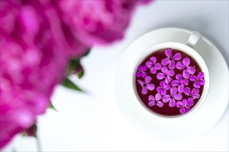 Creative layout with pink peonies flowers and cup of tea on bright table. Spring Seasonal