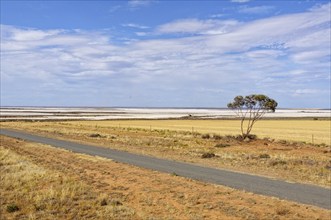 Lake Tyrrell at Sea Lake is the largest salt lake in Victoria, Australia, Oceania