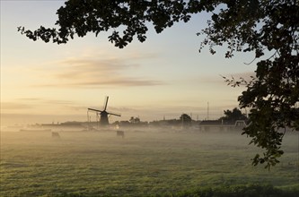 View from the Huys te Warmont estate over a misty field at the Zwanburger windmill