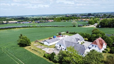 Farm in Denmark with living house, barn and other buildings. Green agricultural fields with wheat