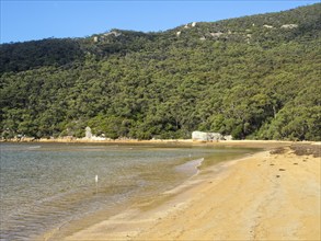 This lovely sandy beach is a great reward at the end of the Telegraph Saddle to Sealers Cove track,