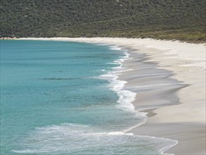 Waterloo Bay Beach is probably the most stunning beach in Victoria, Wilsons Promontory, Victoria,