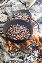 The tradition of autumn chestnuts roast cooked in a pan with holes