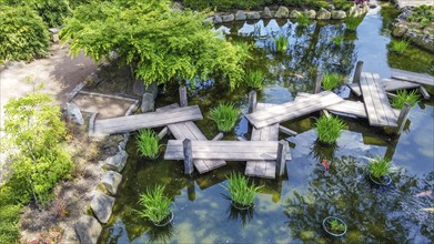 Amazing aerial view on zigzag bridgein Japanese garden in Kaiserslautern and red maple trees, Late