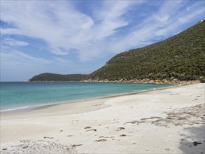 South end of the Waterloo Bay beach, Wilsons Promontory, Victoria, Australia, Oceania