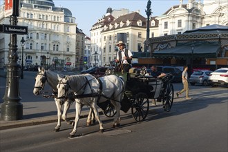 14.06.2019, Vienna, Austria, Europe, A hackney carriage drives tourists through the capital on a