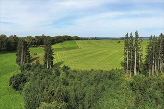 Aerial view of Lindenallee in Marktoberdorf with a view of the historic castle. Marktoberdorf,