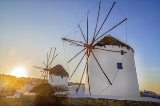 Amazing landscape with famous windmills on Greek island Mykonos, Doves on windmills