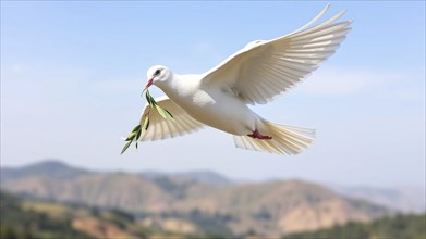 A white dove flies high above a peaceful landscape, holding an olive branch in its beak. Gentle