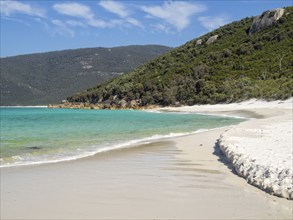 Sandy beach in Little Waterloo Bay, Wilsons Promontory, Victoria, Australia, Oceania