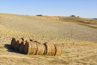 Drying haystacks on a barren autumn field in Crete Senesi, Tuscany, Italy, Europe