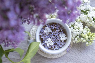 Tasty black tea in white cup on windowsill with aromatic lilac flowers. Spring composition Cup of